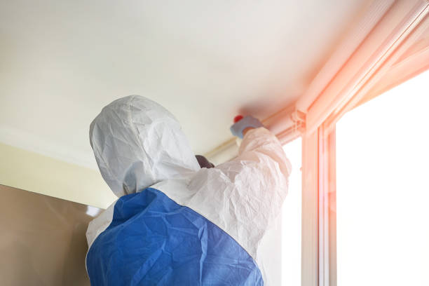 Why You Should Choose Our Mold Remediation Services in Oakville, CT