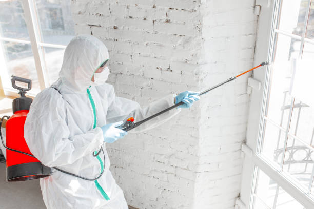 Asbestos and Lead Testing During Mold Inspection in Oakville, CT